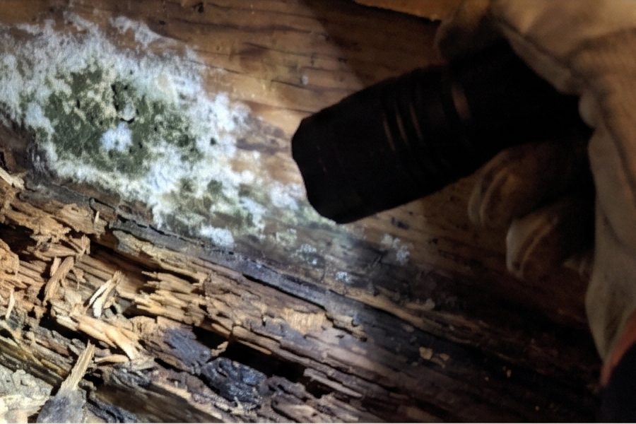 Water-damaged subfloor and a corroded drain pipe found under the master bathroom during demolition
